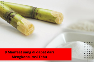 9 Manfaat yang di dapat dari Mengkonsumsi Tebu