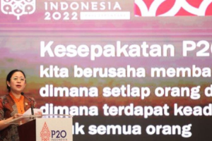 Wakil Ketua BKSAP sebut wartawan parlemen harus sukseskan P20