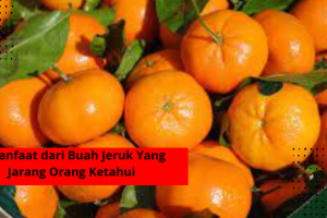 5 Manfaat dari Buah Jeruk Yang Jarang Orang Ketahui