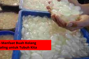 5 Manfaat Buah Kolang Kaling untuk Tubuh Kita