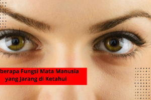 Beberapa Fungsi Mata Manusia yang Jarang di Ketahui