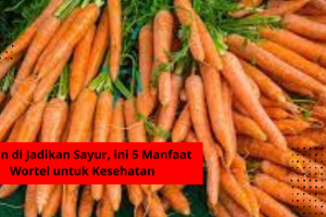 Selain di Jadikan Sayur, ini 5 Manfaat Wortel untuk Kesehatan