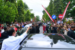 Presiden akan beri bansos dan temui peternak kerbau di Maluku