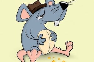 Cara Mudah Usir Tikus, Tikus Kapok Dan Tidak Datang Lagi