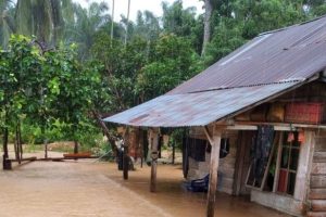 316 rumah warga tergenang akibat banjir di Mukomuko