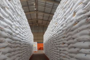 Stok beras Bulog di Papua dan Papua Barat capai 26.300 ton