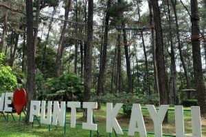 Berbenah, Pengelola taman wisata alam Puntikayu berupaya tingkatkan pengunjung