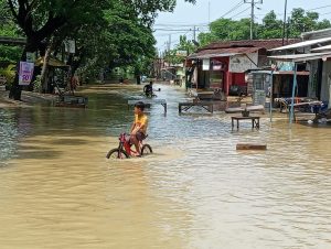 Tiga Desa di Jakenan tergenang Air, Sejumlah Akses Jalan Raya Lumpuh