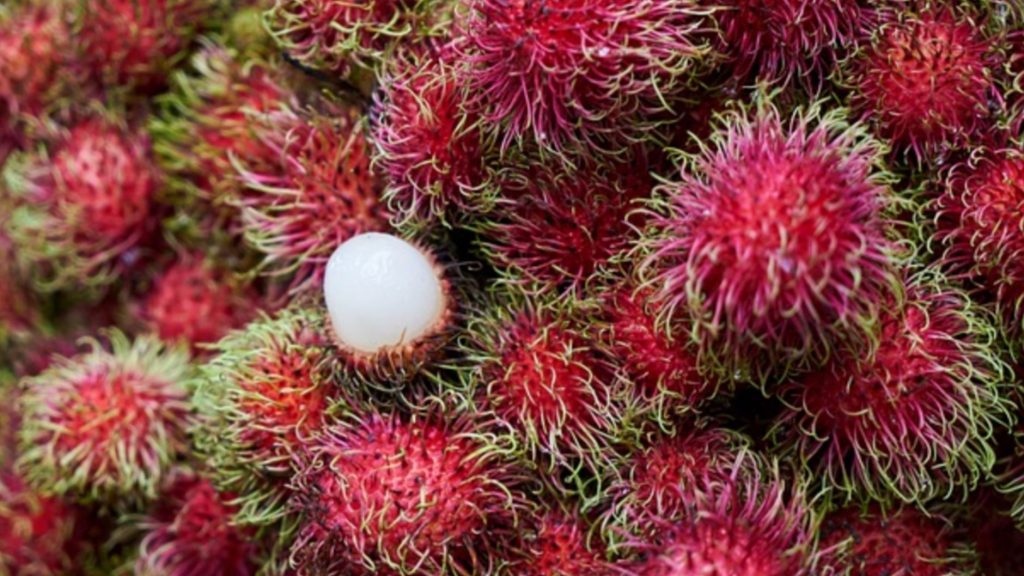 Yuk Cari Tahu Manfaat Buah Rambutan