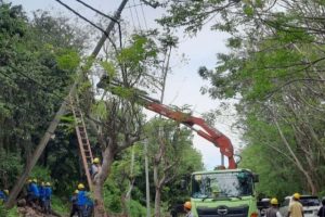 Normalisasi tiang listrik oleh PLN di Nusa Tenggara Barat