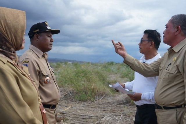 Prof Mohammad Jafar Hafsah sebut Indonesia bisa bebas impor gandum diganti dengan sorgum