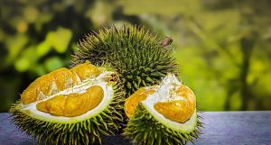 Tips Memilih Buah Durian Yang Manis Dan Matang