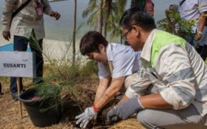 Peduli lingkungan, Swasta tanam 500 cemara di Pantai Teluk Tamiang cegah abrasi