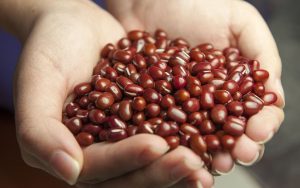 Cocok Untuk Camilan di Musim Hujan, Ini Tips Bikin Peyek Kacang Tanah
