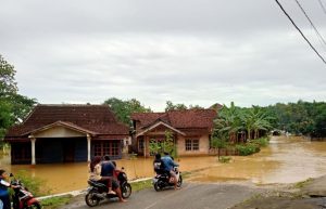 Diguyur hujan Jumat Sore, Ratusan Rumah di Pati Selatan Kembali Terendam Banjir Bandang