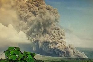 Gunung Semeru Muntahkan Awan Panas masyarakat di imbau