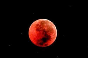 8 November nanti, Kemenag ajak umat shalat khusuf saat gerhana bulan