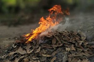 Hati-hati, Berikut Bahaya Saat Membakar Sampah Bagi Kesehatan