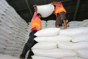 Ketua KTNA menyatakan 32 Ton lebih hasil panen beras akan tercapai di tahun 2022