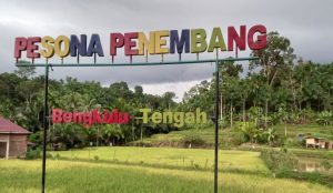 Keindahan pesona Desa Wisata Penembang Bengkulu
