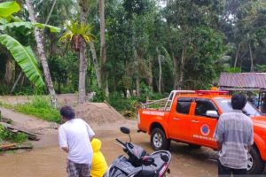 Banjir melanda Solok, seorang warga dipatuk ular