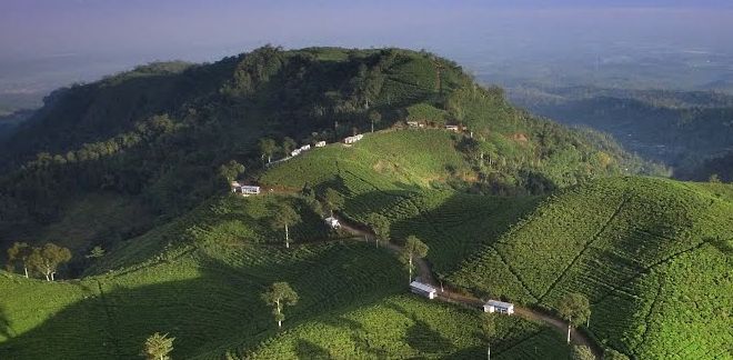 Aksi Protes Pemuda Kemuing Terkait Alih Fungsi Kebun Teh