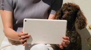 Fungsi ganda untuk dukung “smart home” dijanjikan Pixel Tablet