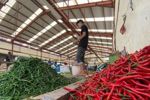 Lonjakan Harga Cabai Merah Tembus Rp105 Ribu Per Kilogram di Aceh
