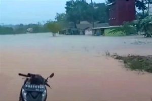 Sejumlah kawasan di Kotawaringin Timur terendam banjir