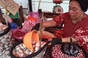Kepala Disdag: harga sembako Makassar naik dipengaruhi banyak faktor