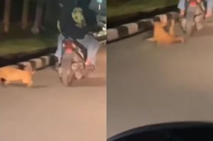 Sungguh Tega Dua Pemuda ini Seret Anjing dengan Kaki Terikat