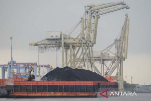 Pengamat Ingatkan Pengusaha Batu Bara Untuk Patuhi Kewajiban DMO