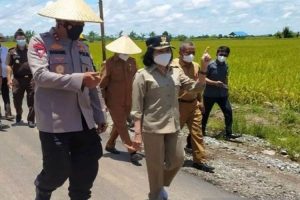 Kapolda Kalteng: Motivasi Anak Muda Jadi Petani Milenial Kembangkan “Food Estate”