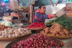 Syahrul Yasin Limpo: Jamin Pasokan Cabai Cukup Sapai Idul Fitri