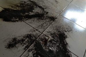 Warga Keluhkan Limbah Debu Hitam dari Pabrik Gula Trangkil