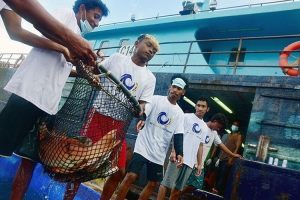 KKP Buat Terobosan Percepat Ekspor Ikan Keramba Jaring Apung