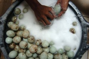 Telur Asin Jadi Andalan Oleh-oleh dari Brebes