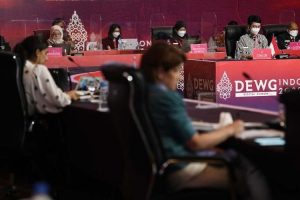 DEWG G20, Indonesia Usulkan Empat Prinsip Ukuran Literasi Digital