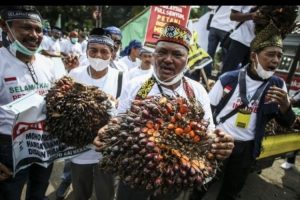 Cabut Larangan Ekspor Minyak Goreng, Penggiat Sawit Apresiasi Presiden Jokowi 
