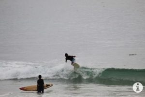 Krui Pro Bangkitkan Pariwisata-UMKM Lewat WSL