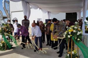 Teten Dorong Kemitraan Koperasi Peternak Susu Dan Industri Perbaiki Produktivitas Produk
