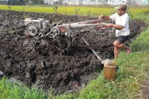 Akademisi: Perlu kebijakan khusus dukung produktivitas pertanian