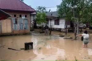 132 Rumah di Buton Terendam Banjir