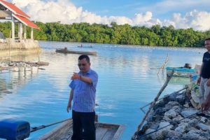 DKP Kepri Dorong Nelayan Manfaatkan Potensi Pesisir Kembangkan Budi Daya Rumput Laut