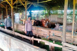 Sambangi Kandang Hewan Ternak, Bhabinkamtibmas Polsek Karanganyar Imbau Peternak Jaga Kebersihan Kandang