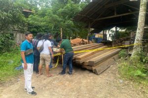 Polisi di Jambi tangkap tangan pembalak hutan
