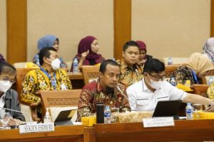 Gubernur Sulsel RDPdengan Komisi VII DPR RI bahas lahan eks Vale