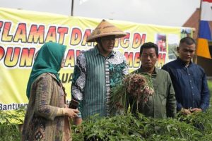 Gapoktan Tirto Sembodo sukses panen raya bawang merah