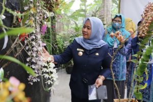 Bupati: Vanda Tricolor diharapkan jadi daya tarik wisatawan ke Sleman