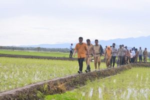 Bulog: Sulsel pasok beras 120 ribu ton untuk Indonesia